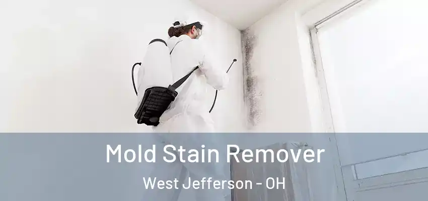  Mold Stain Remover West Jefferson - OH