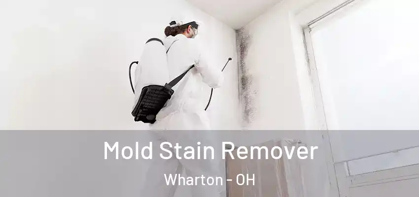 Mold Stain Remover Wharton - OH