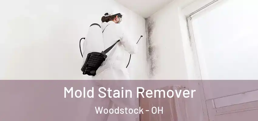  Mold Stain Remover Woodstock - OH
