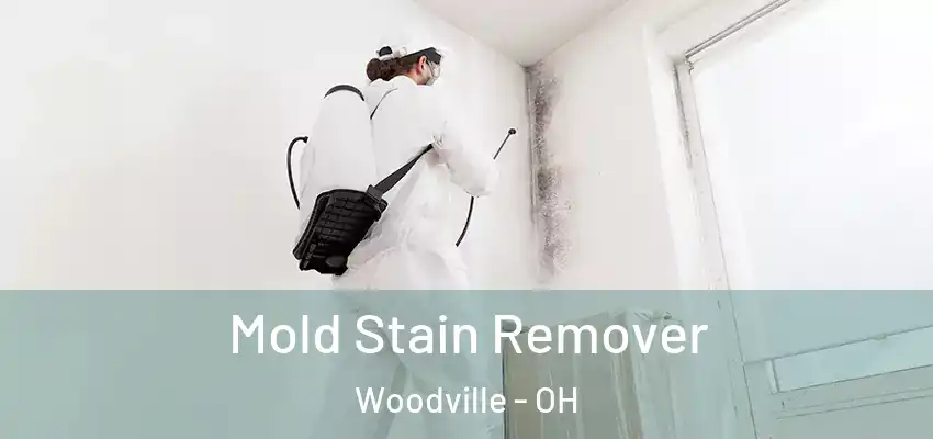  Mold Stain Remover Woodville - OH