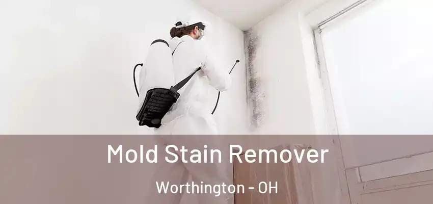  Mold Stain Remover Worthington - OH