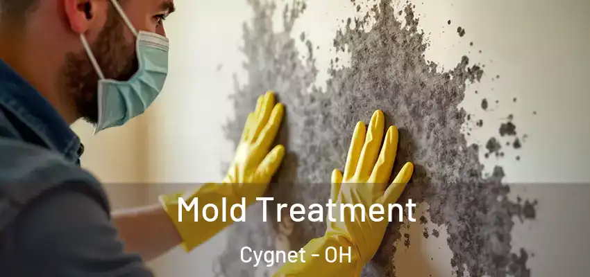  Mold Treatment Cygnet - OH