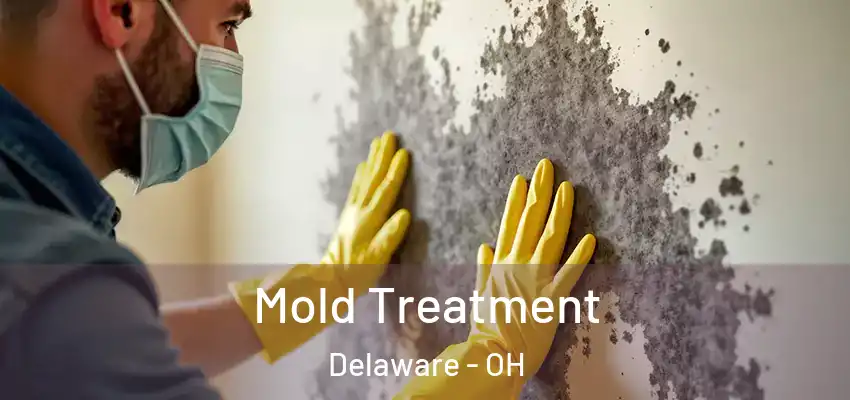  Mold Treatment Delaware - OH