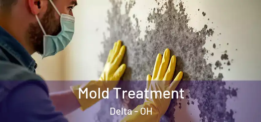 Mold Treatment Delta - OH