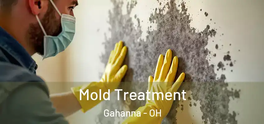 Mold Treatment Gahanna - OH