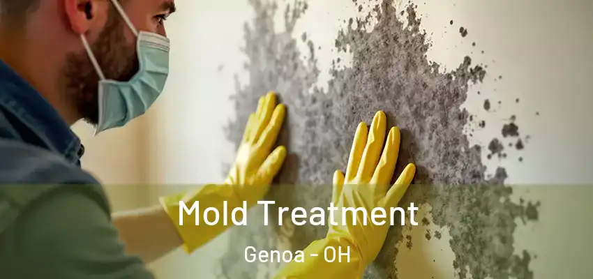  Mold Treatment Genoa - OH