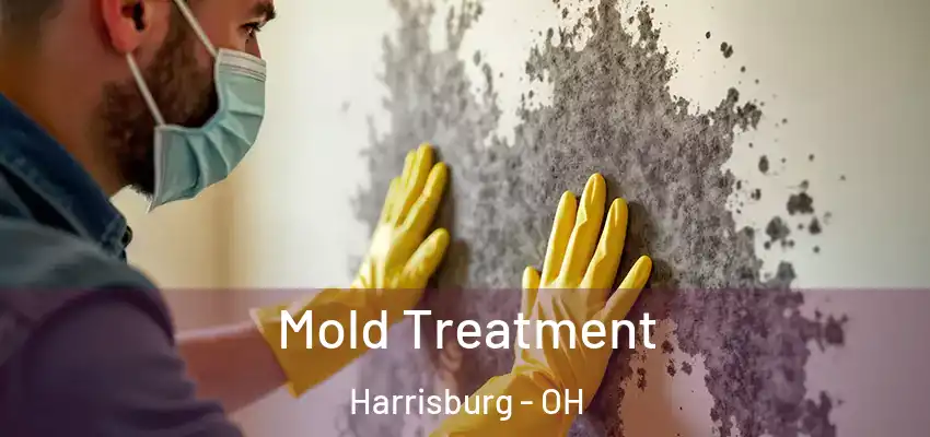  Mold Treatment Harrisburg - OH