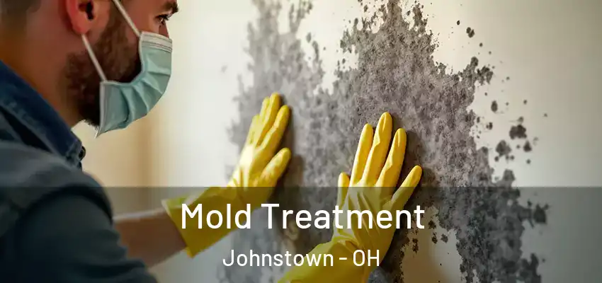  Mold Treatment Johnstown - OH
