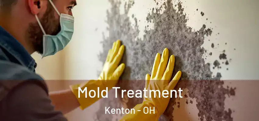  Mold Treatment Kenton - OH