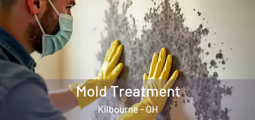  Mold Treatment Kilbourne - OH