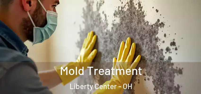 Mold Treatment Liberty Center - OH