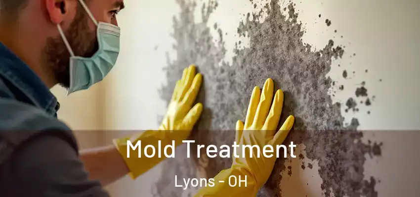  Mold Treatment Lyons - OH