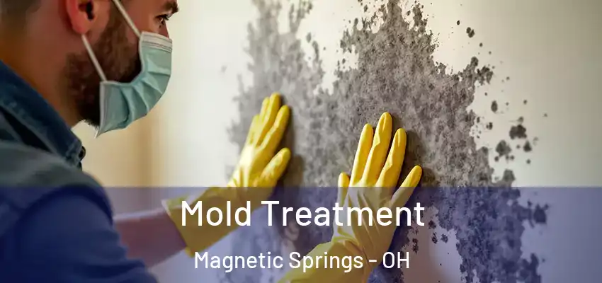  Mold Treatment Magnetic Springs - OH