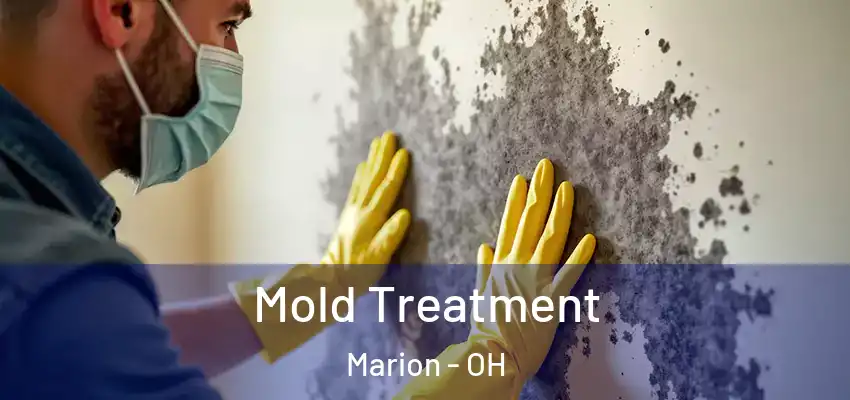 Mold Treatment Marion - OH