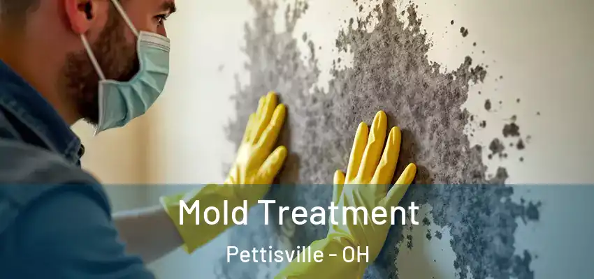 Mold Treatment Pettisville - OH