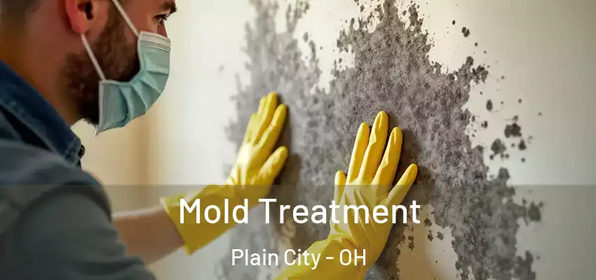  Mold Treatment Plain City - OH