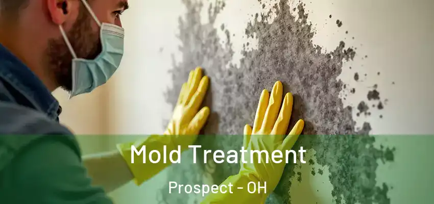  Mold Treatment Prospect - OH