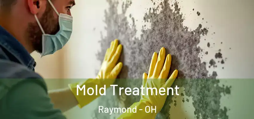  Mold Treatment Raymond - OH