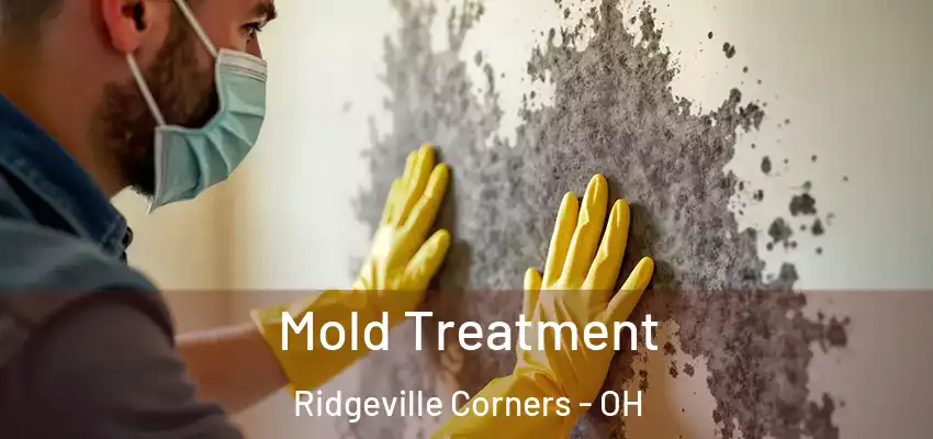  Mold Treatment Ridgeville Corners - OH