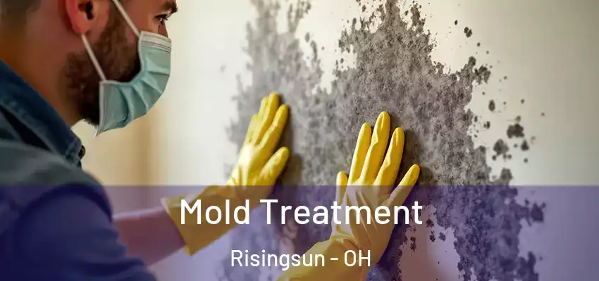 Mold Treatment Risingsun - OH