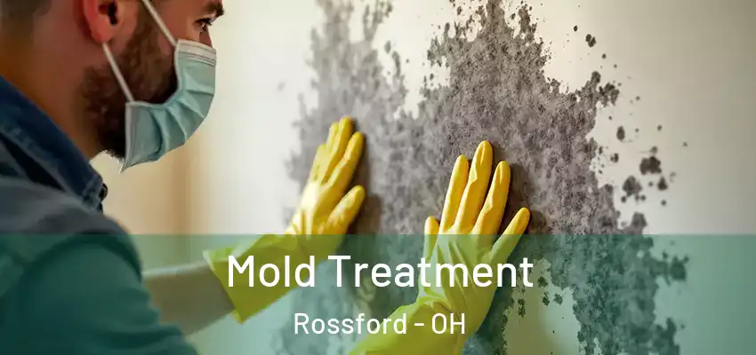  Mold Treatment Rossford - OH
