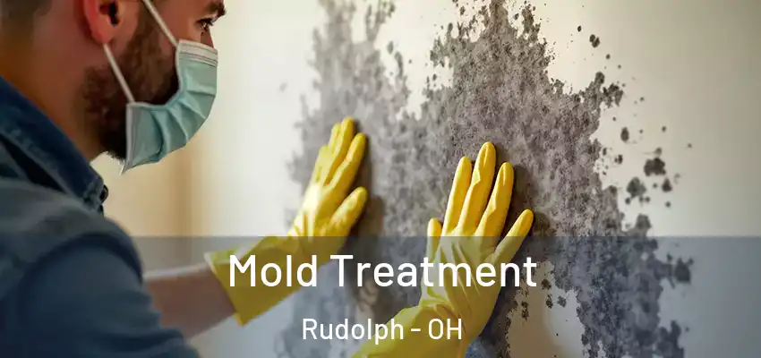  Mold Treatment Rudolph - OH