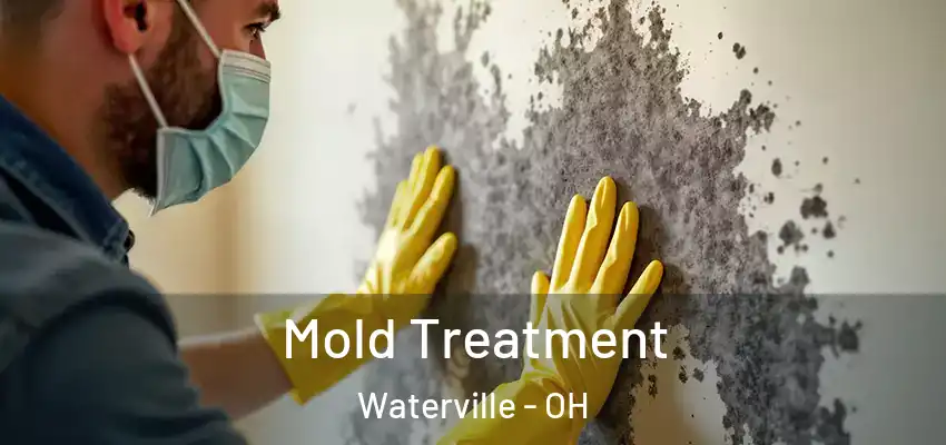 Mold Treatment Waterville - OH