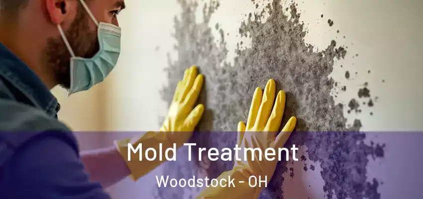 Mold Treatment Woodstock - OH