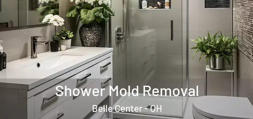 Shower Mold Removal Belle Center - OH