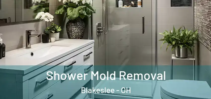 Shower Mold Removal Blakeslee - OH