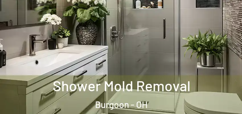  Shower Mold Removal Burgoon - OH