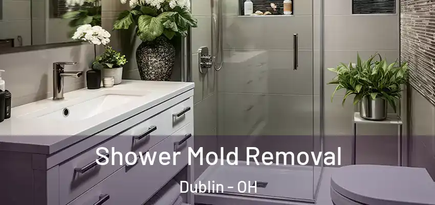 Shower Mold Removal Dublin - OH