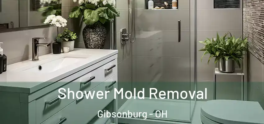 Shower Mold Removal Gibsonburg - OH
