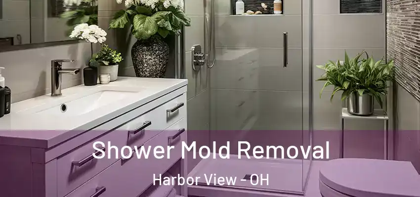  Shower Mold Removal Harbor View - OH