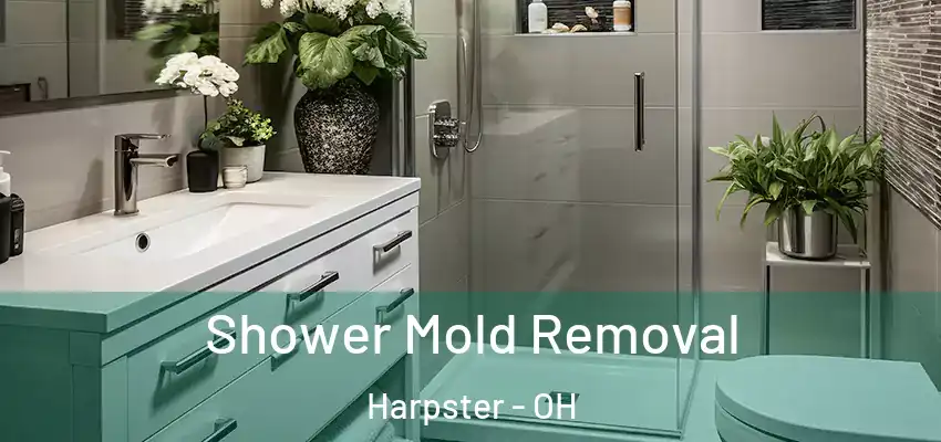  Shower Mold Removal Harpster - OH