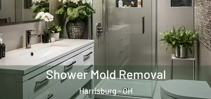 Shower Mold Removal Harrisburg - OH