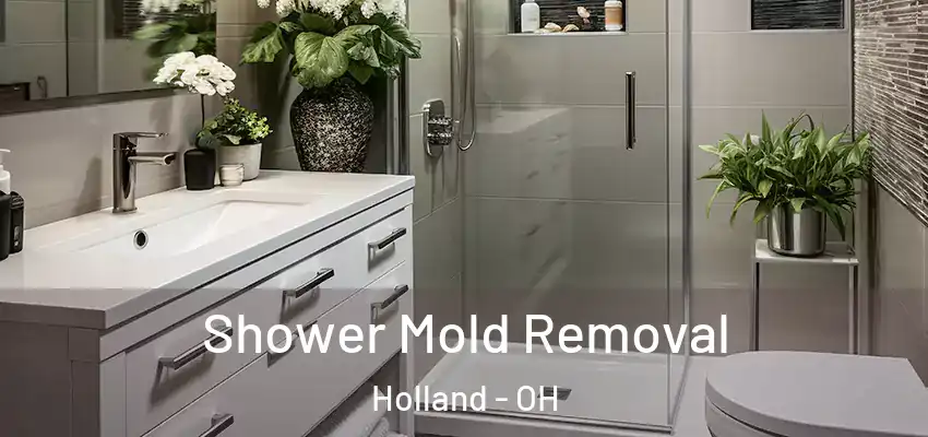  Shower Mold Removal Holland - OH