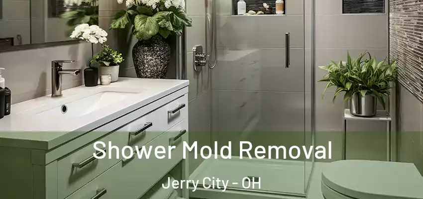  Shower Mold Removal Jerry City - OH