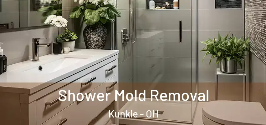  Shower Mold Removal Kunkle - OH