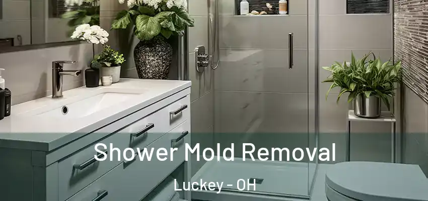 Shower Mold Removal Luckey - OH
