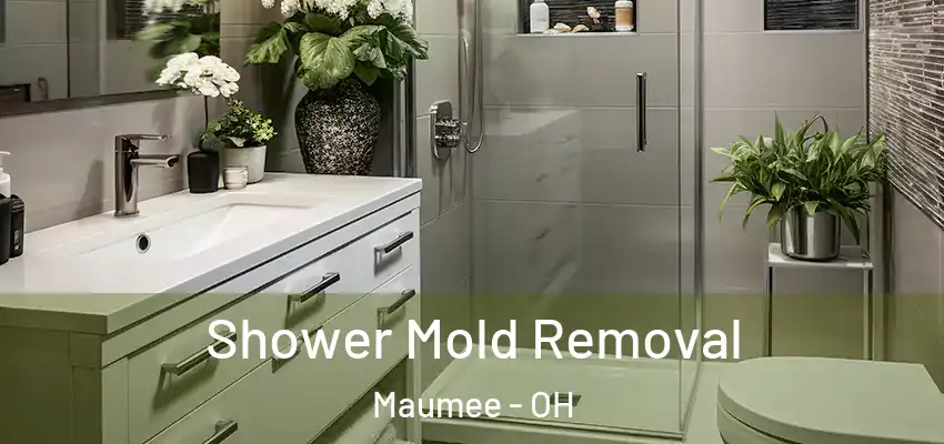  Shower Mold Removal Maumee - OH