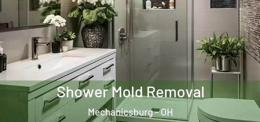  Shower Mold Removal Mechanicsburg - OH