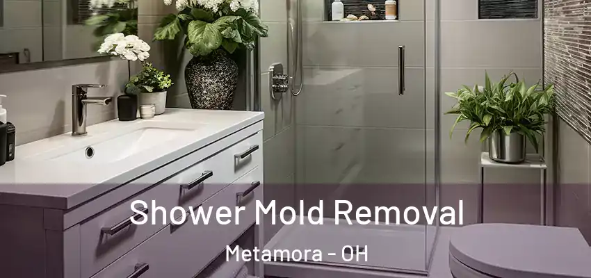  Shower Mold Removal Metamora - OH