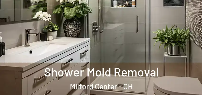  Shower Mold Removal Milford Center - OH