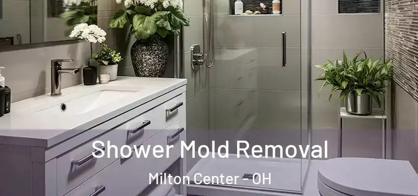 Shower Mold Removal Milton Center - OH