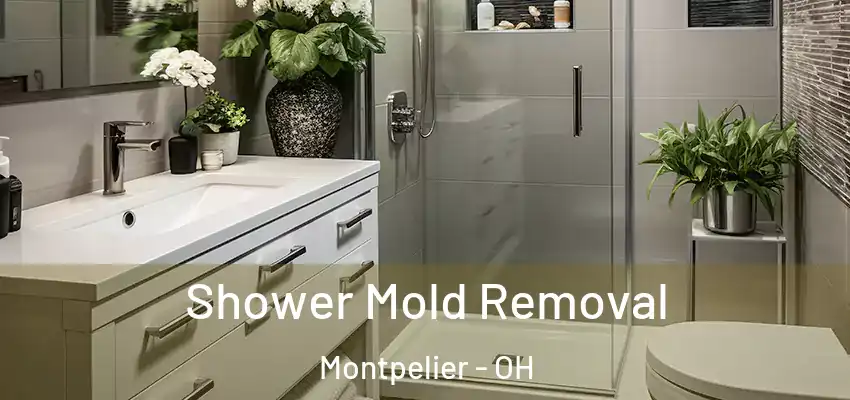 Shower Mold Removal Montpelier - OH