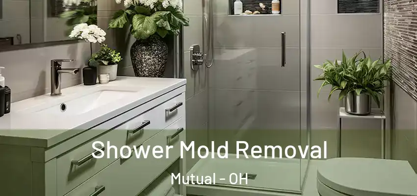  Shower Mold Removal Mutual - OH
