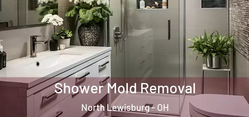  Shower Mold Removal North Lewisburg - OH