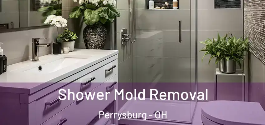  Shower Mold Removal Perrysburg - OH
