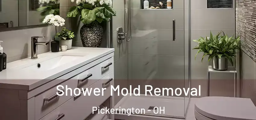  Shower Mold Removal Pickerington - OH